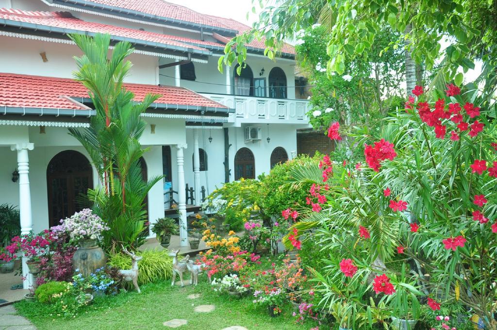Angel Rest Hotel Mirissa Exterior foto