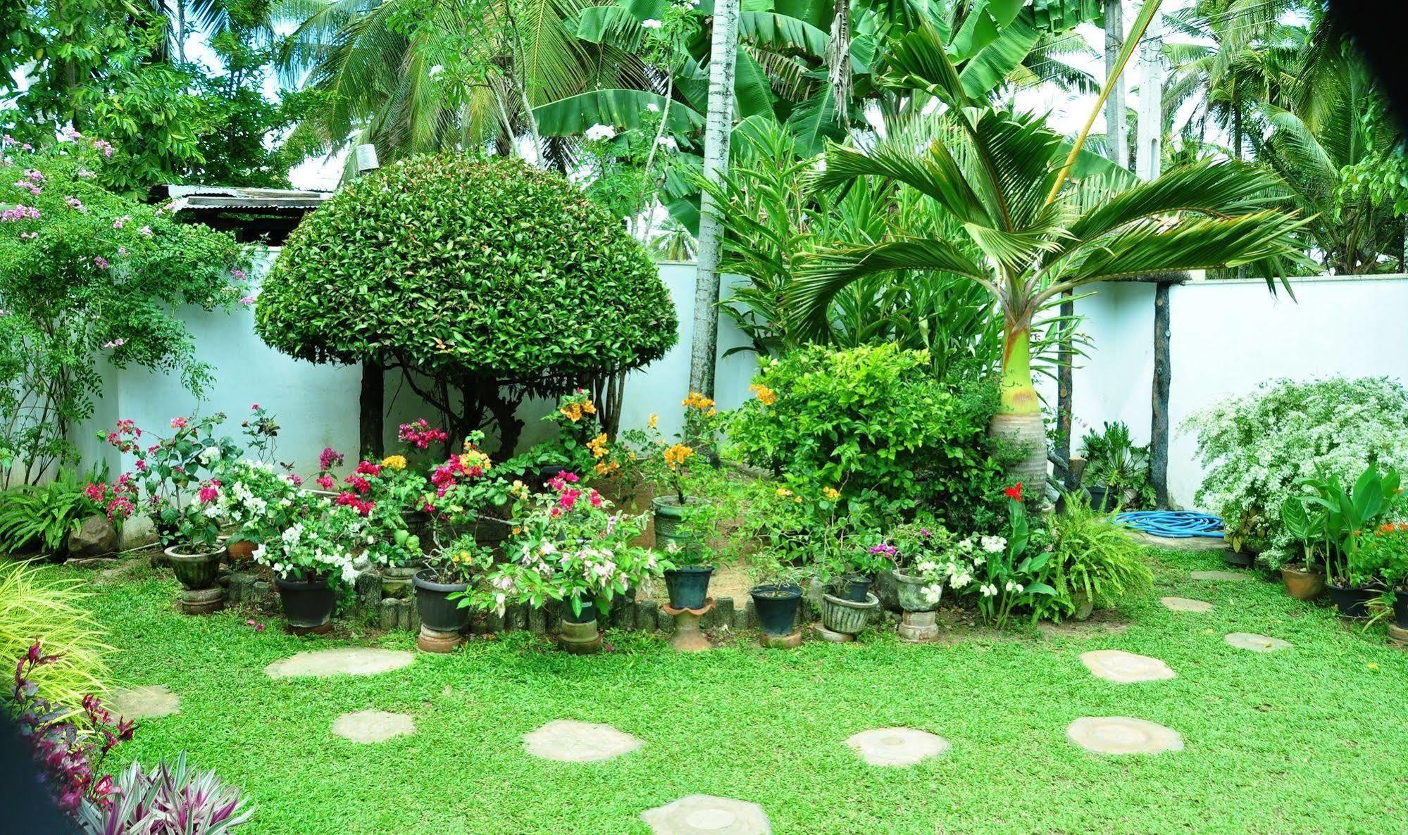 Angel Rest Hotel Mirissa Exterior foto